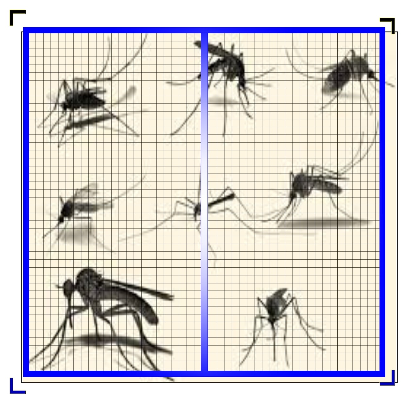 Liệu Trái đất có đảo lộn khi loài muỗi biến mất hoàn toàn?
